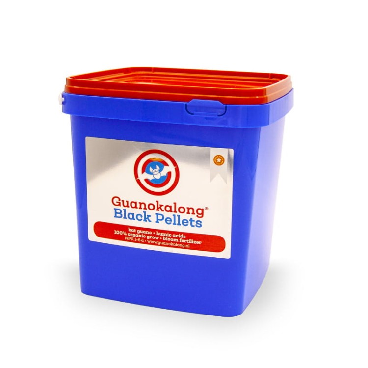 bat guano pellet black .jpg