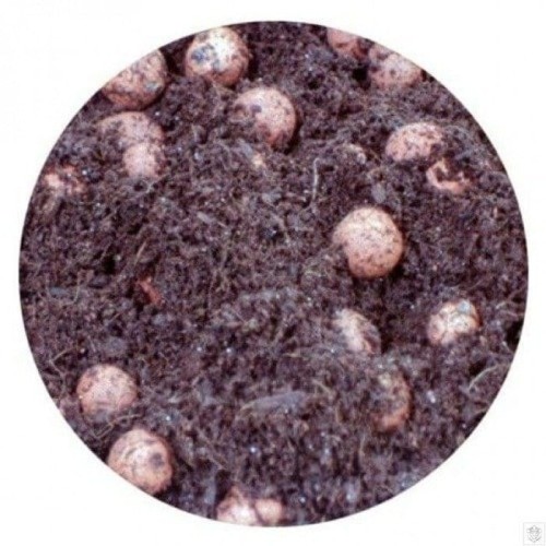 plagron hydro cocos 60:40.jpg