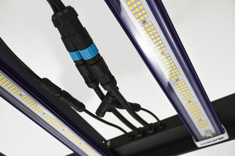 Lumatek Zeus 600W Pro okablowanie i złącza sześciu listew LED