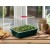small high dome propagator twarda pokrywa garland ukorzeniacz.jpg