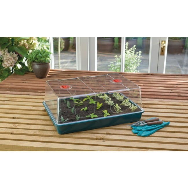 high dome propagator garland.jpg