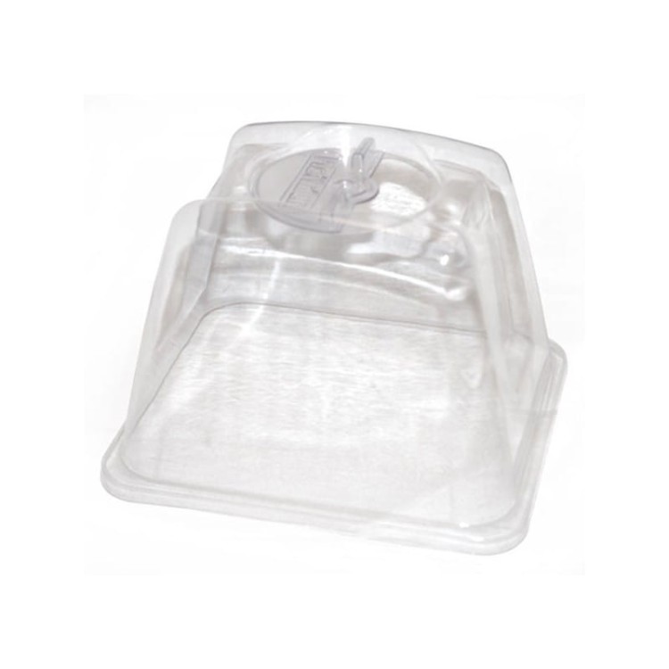 cloner 12 propagator .jpg