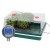 garland propagator z kontrola temperatury termostatem.jpg