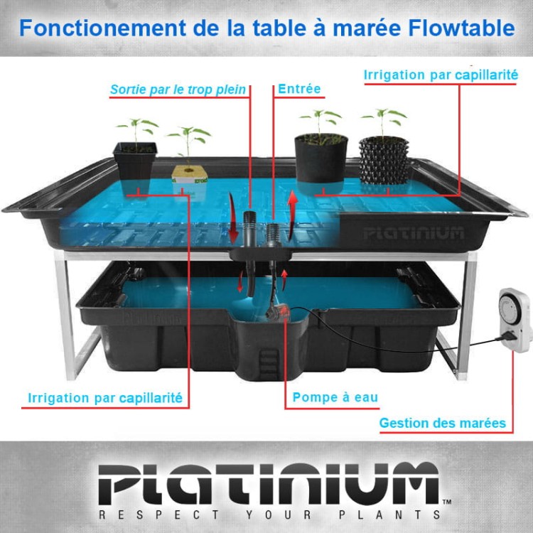 platinium stol hydroponiczny system kompletny.jpg
