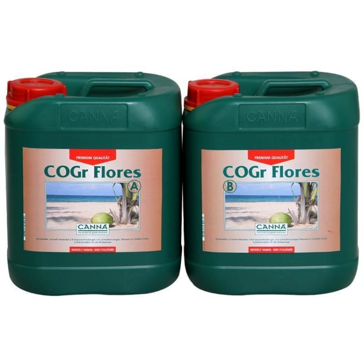 canna cogr flores a b