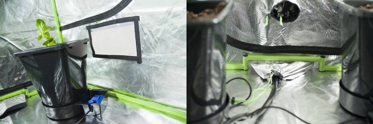 Green-Qube_UpliftBarx2.jpg