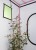 LED-Qube_SensorWindow-green qube.jpg