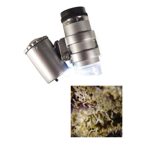 mikroskop led .jpg