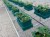 autopot easy2grow greenhouse szklarnia.jpg