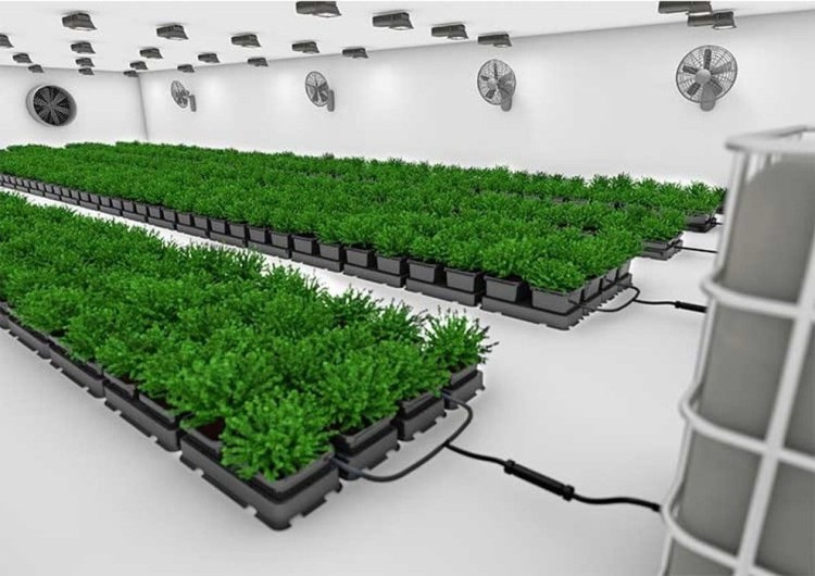 autopot system nawadniający .jpg