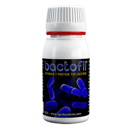 botella bactofil agrobacterias chroni przed grzybami wzmacnia rozwój korzeni.png