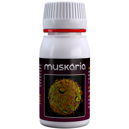 agrobacterias fungi killer muskaria zabójca grzybów organiczny naturalny srodek ochrony roslin.png
