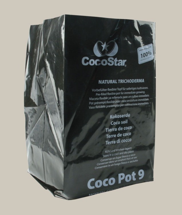 coco pot 9L coco star