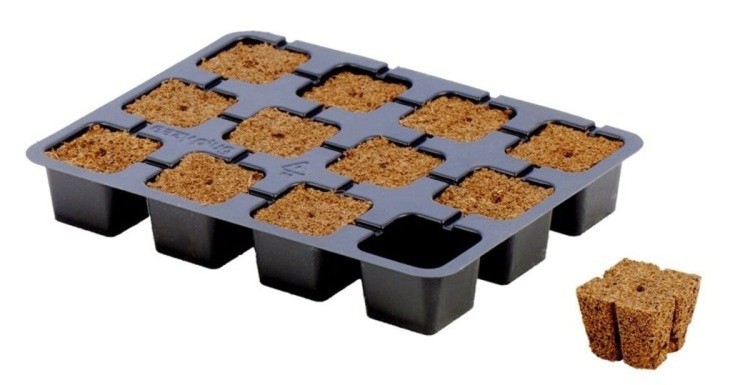 easy plug 12 szt.jpg