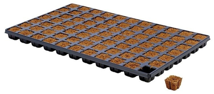 taca do wysiewu sadzonek klonow easy plug 77 szt.jpg