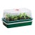 garland propagator podgrzewany