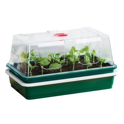 garland propagator podgrzewany