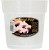 orchid pot 13 cm doniczka do orchidei growth technology.jpg