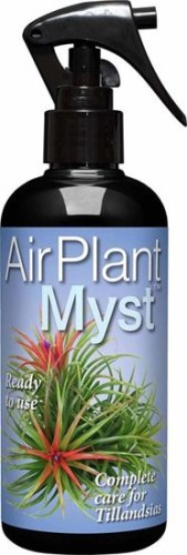 air plant myst nawóz do oplątwy.jpg