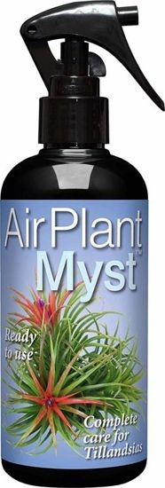 air plant myst nawóz do oplątwy.jpg