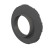 150mm kolnierz secret jardin.jpg