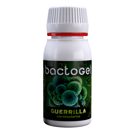 bactogel agrobacterias bakterie utrzymuje wilgoc.png