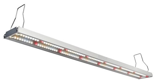 plantalux ax60 lampa led .jpeg