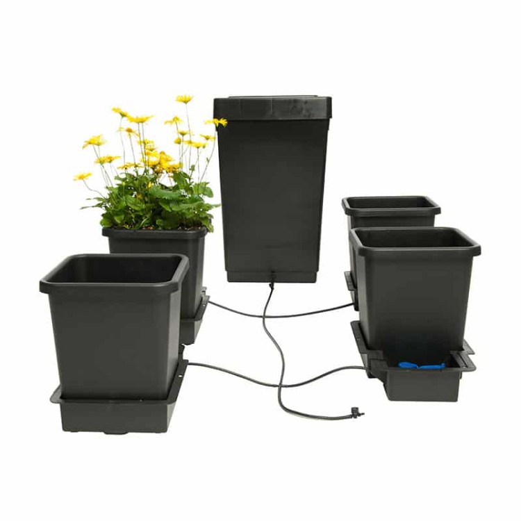 4Pot_2016.jpg