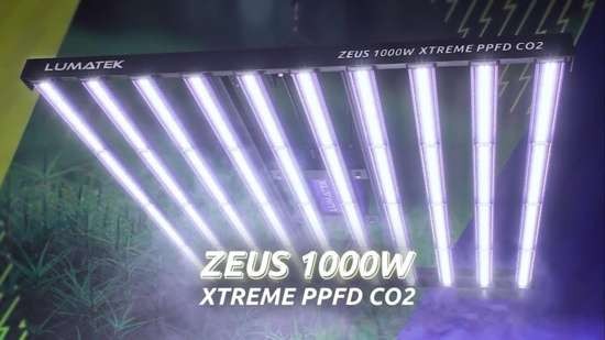 Lumatek Zeus 1000W Xtreme PPFD CO2 dziesięć listew LED podczas pracy