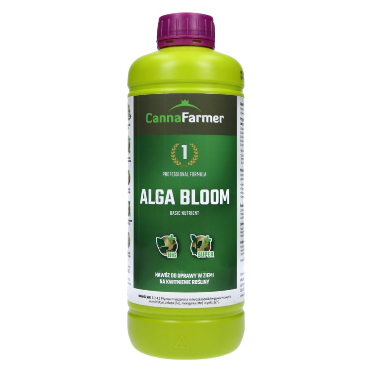 alga bloom cannafarmer.jpeg