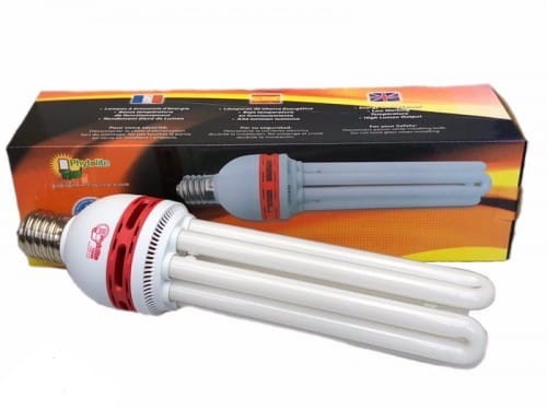 Phytolite Horty Bloom CFL.jpg