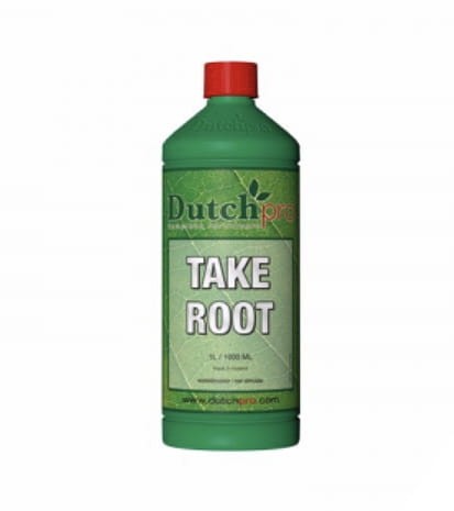 Dutch Pro Take Root.jpg