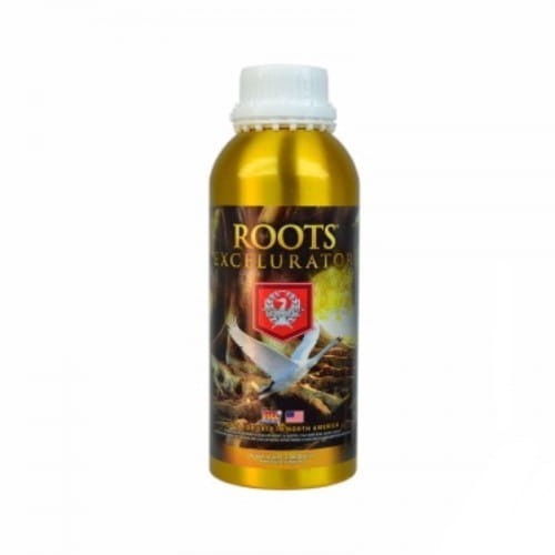 House and Garden Root Excelulator.jpg