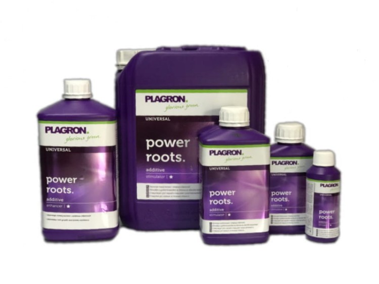 Plagron Power Roots.jpg