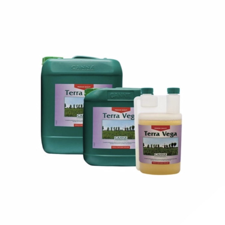 Canna Terra Vega.jpg