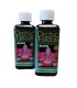 Orchid Focus Bloom.jpg