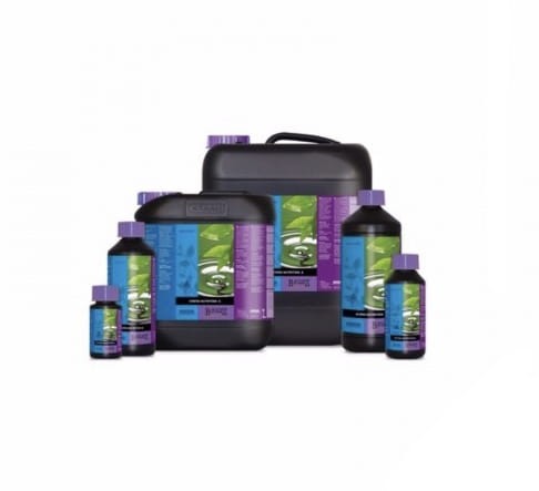 Atami Bcuzz Hydro Nutrition A : B.jpg