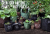 root pouch growbag eco doniczka materialowa .png