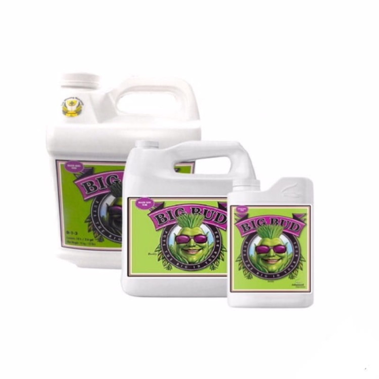 Advanced Nutrients Big Bud Liquid.jpg