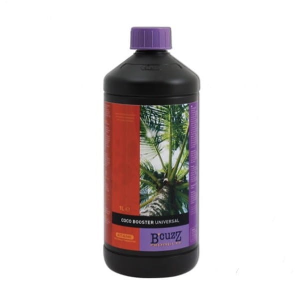 Atami Bcuzz Coco Universal Booster.jpg