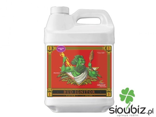 bud ignitor.JPG