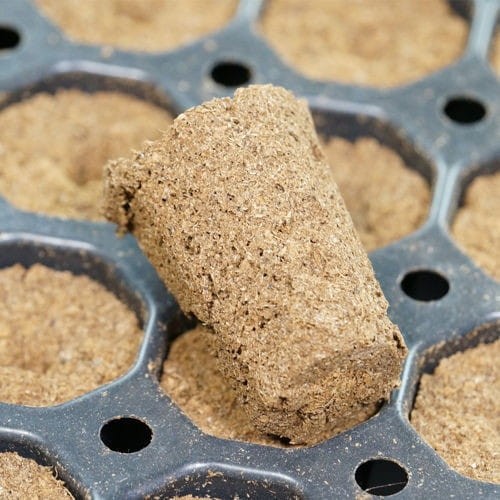 kostki eazy plug wysiewne