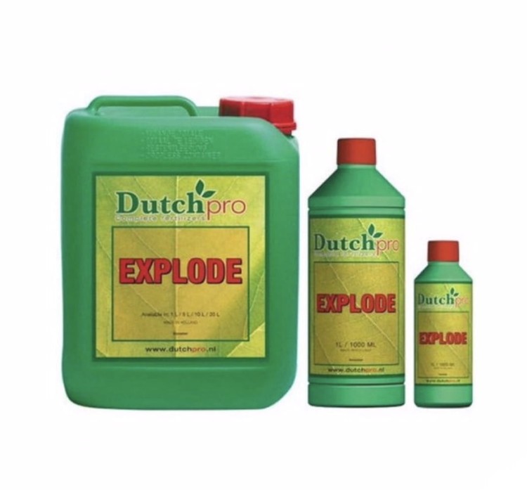 Dutch Pro Explode.jpg