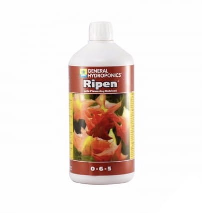 GHE Ripen.jpg