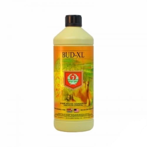 House and Garden Bud XL.jpg