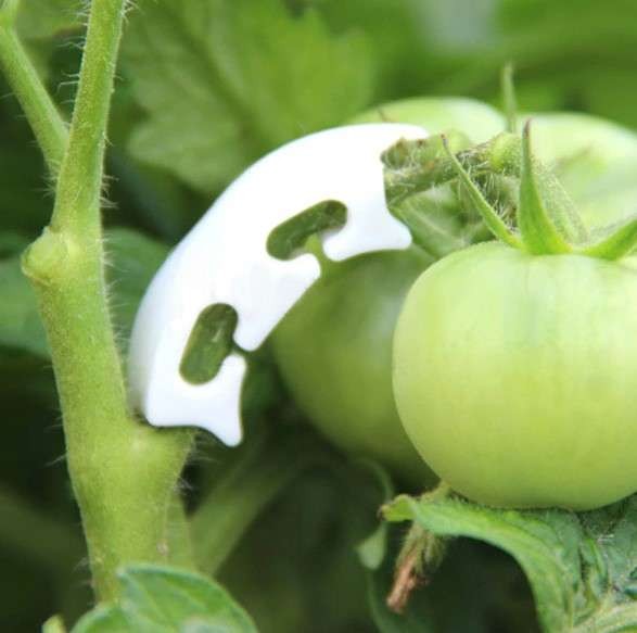Herbgarden kolanka LST do treningu łodyg 4 cm zdjęcie 3