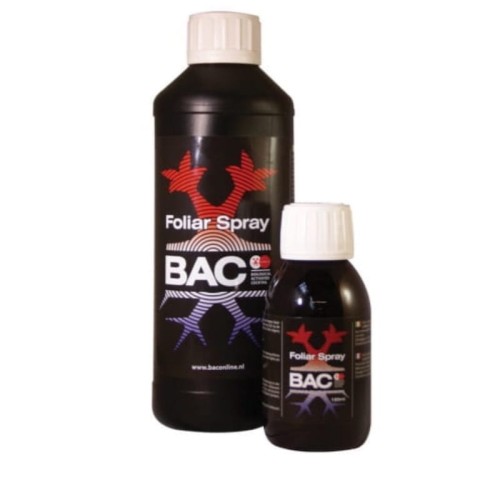 BAC Foliar Spray Nutrition - produkcja chlorofilu.jpg