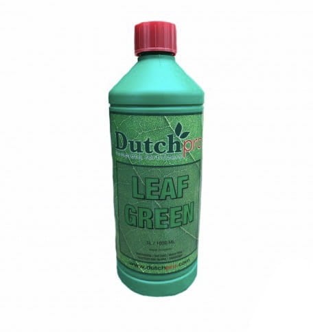 Dutch Pro Leaf Green.jpg