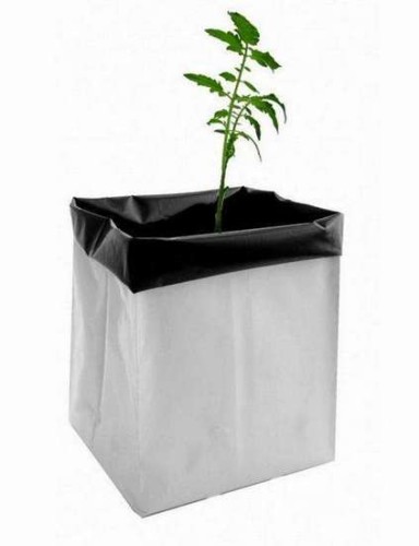 herbgarden doniczki foliowe.jpg