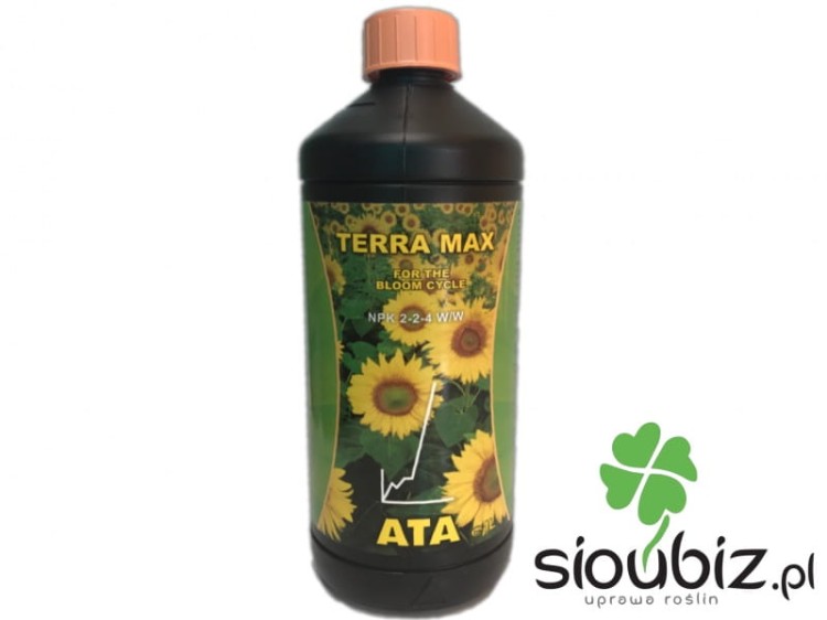 atami terra max.JPG
